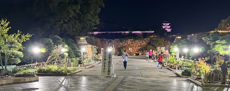 明石公園ライトアップ2024
