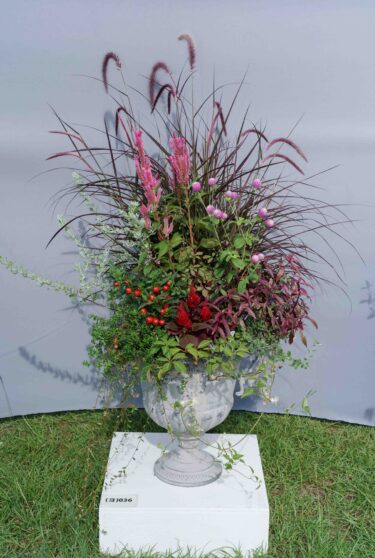 2025ガーデンコンペ・ひょうご 《ガーデン部門　寄せ植え》出展作品